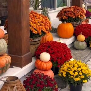 Meet your Posher, Tabitha